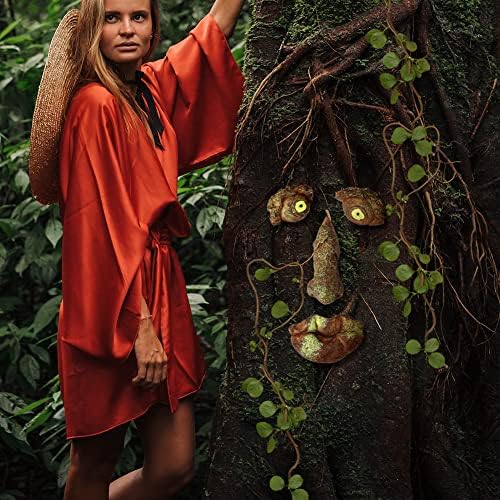 Innolites drveće lica dekor na otvorenom, stablo lice vanjske statue starac stablo zagrljaj stabla kora duh dekoracija lica smiješna