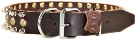 Dean i Tyler Business End Collar - Nickel Hardver - Brown - Veličina 40 X 1 1/2 Širina. Odgovara veličini vrata od 38 inča do 42 inča.
