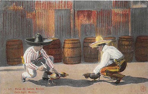 Felea de Gallos, Cock Fight Mexico Old Vintage razglednice