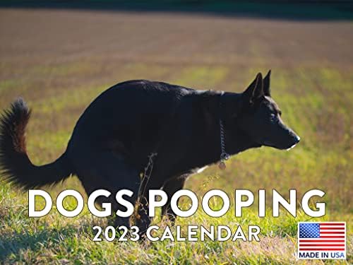 Smiješno kalendar za pseće kalendar 2023 Mjesečni zidni kalendar za viseće kalendar za životinje dar Nature Poziva Poop Pet Veliki