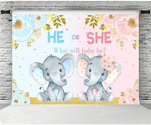 Spol slona otkriva pozadinu za fotografiranje pod Tušem za bebe ružičasta ili svijetloplava pozadina cvijeta slona on ili ona kakva