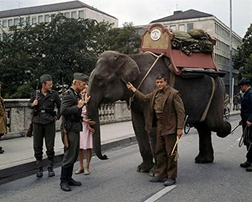 Hannibal Brooks 1969. Oliver Reed sa slonom u austrijskom gradu 8x10 inča fotografija