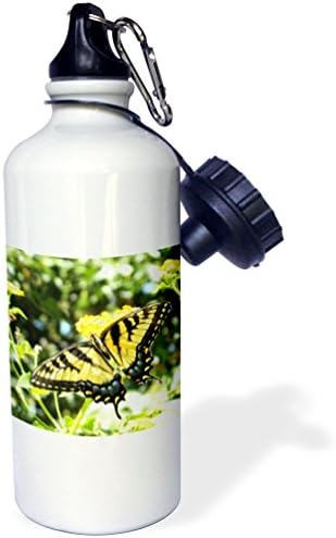 3Drose Awesome žuta lastavica leptira fotografija-sportovi boca vode, 21oz, 21 oz, višeslojna