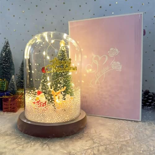 Personalizirani božićni snježni globus sa slikovnim filmom Roll, LED svjetla Glazbena kutija poklon u staklenoj kupoli, Xmas Djed Mraz