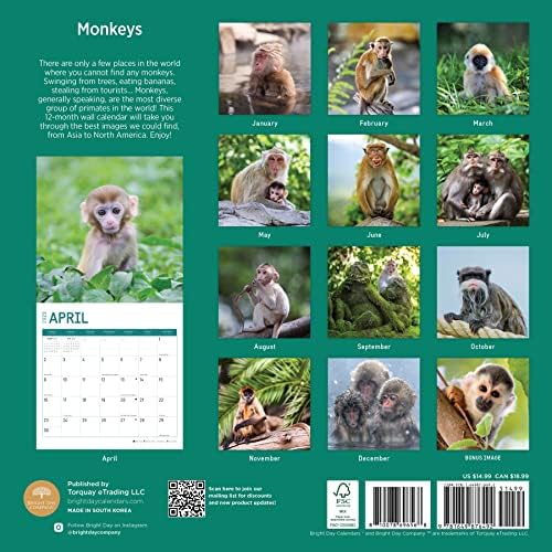 2023. Majmuni zidni kalendar po svijetlom danu, 12x12 inča, slatko preslatka divljina zabava za djecu u zoološkom vrtu